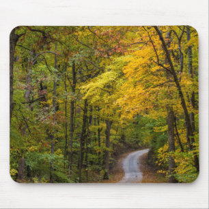 Kleine Kiesstraße gesäumt von Herbstfarben Mousepad