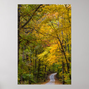 Kleine Kiesstrasse mit Herbstfarbe Poster