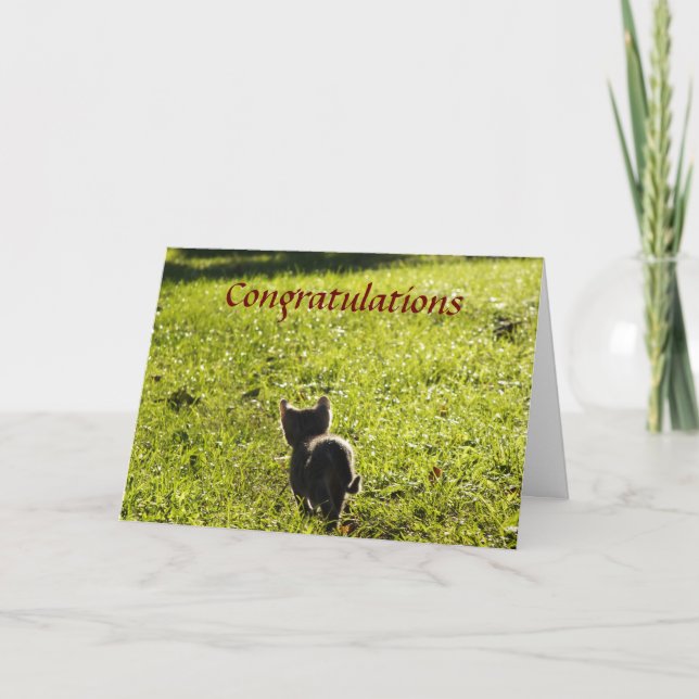 Kleine Kitten Mehrzweckkarte Karte (Vorderseite)