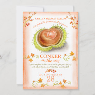 Kleine Konkerkerschwangerschaft Ankündigung