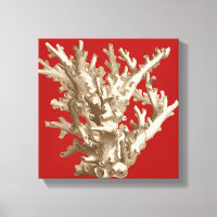 Kleine Koralle in Rot