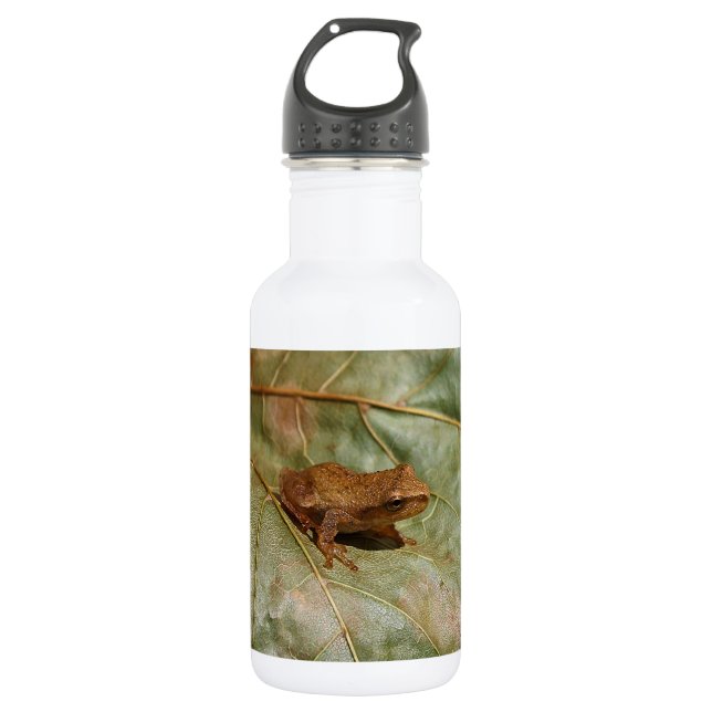 Kleine Kröte Edelstahlflasche (Vorderseite)