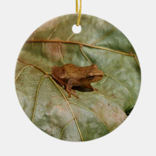 Kleine Kröte Keramik Ornament
