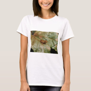 Kleine Kröte T-Shirt