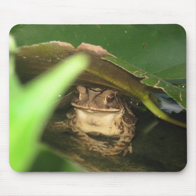 Kleine Kröten-Frosch-Mausunterlage Mousepad (Vorne)
