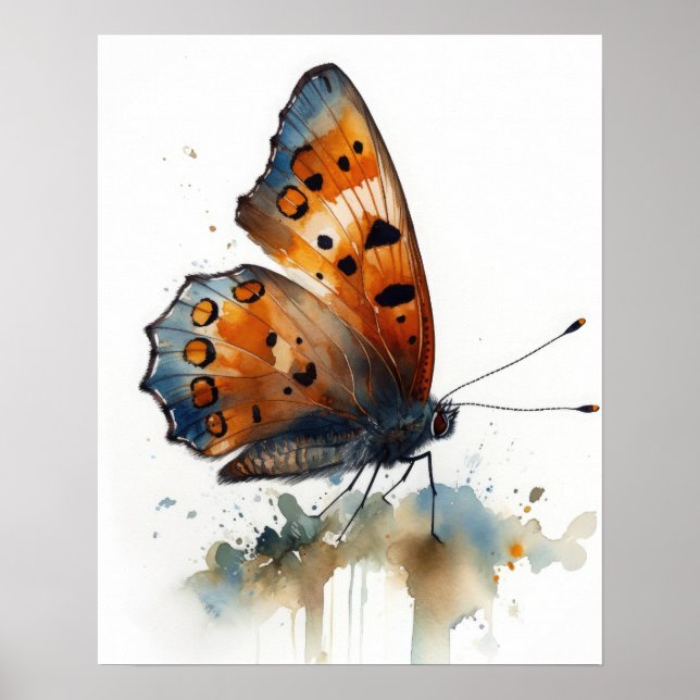 Kleine Kupfer Schmetterling Art Print Poster (Vorne)