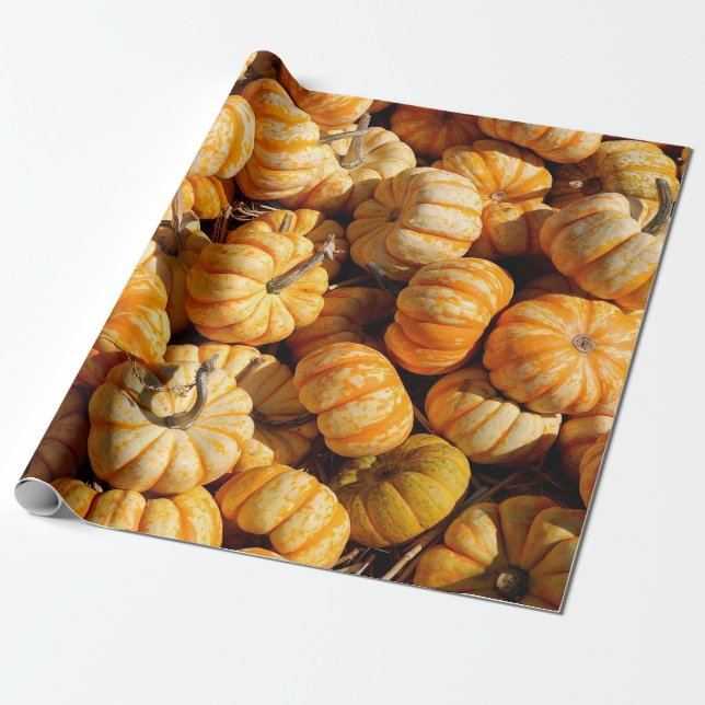 kleine Kürbis Geschenkpapier (Ungerollt)