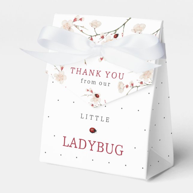Kleine Ladybug Babydusche Geschenkschachtel (Vorderseite)