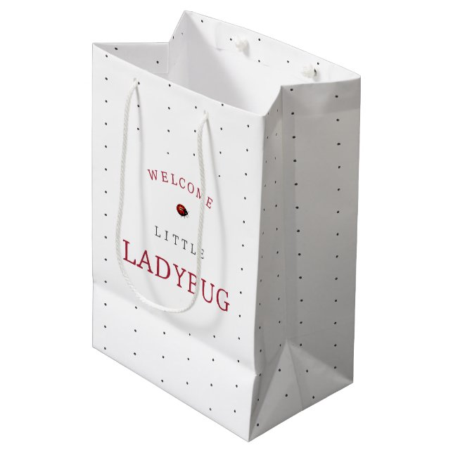 Kleine Ladybug Babydusche Mittlere Geschenktüte (Vorderseite Schrägansicht)