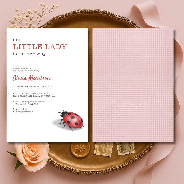 Kleine Ladybug-Gingham-Baby-Party Einladung (Von Creator hochgeladen)
