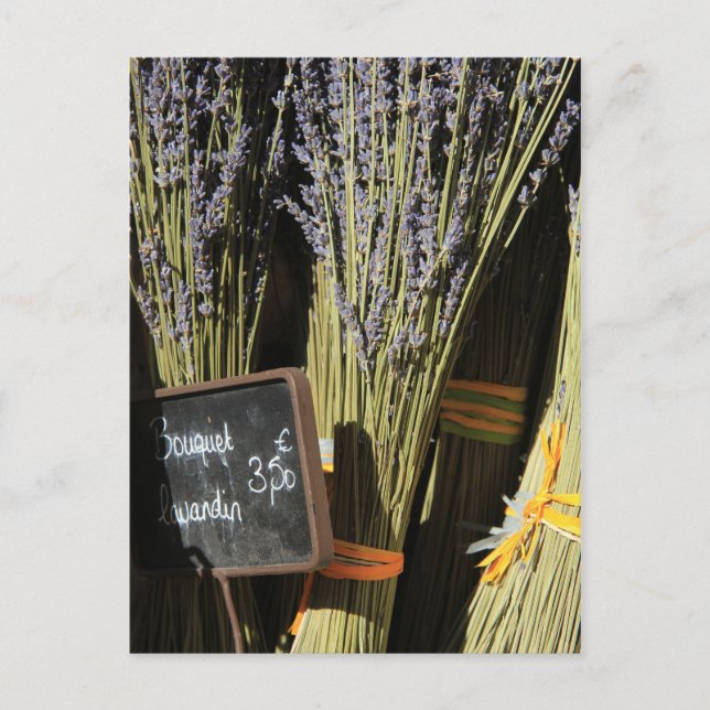 Kleine Lavendelsträuße Postkarte (Vorderseite)