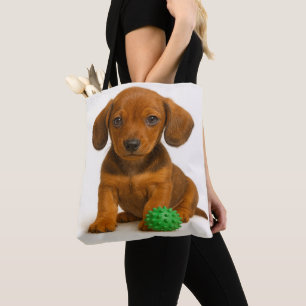 Kleine Legen, Big Toy - Dackel Pup