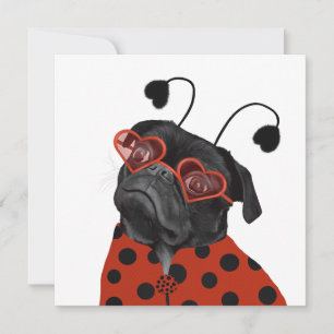 Kleine Liebe Mops   Mops Lovers