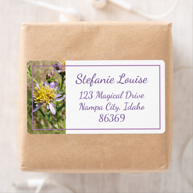 Kleine Lila Daisies (Insitu)