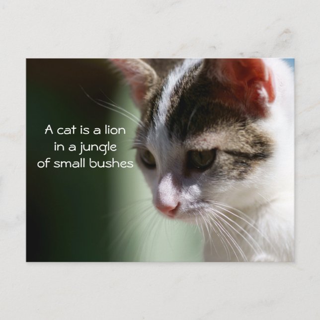 Kleine Lion Postkarte (Vorderseite)