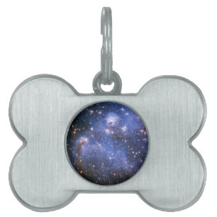 Kleine magellanische Cloud Tiermarke