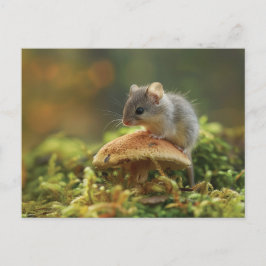 Kleine Maus, die auf einem Pilz sitzt Postkarte