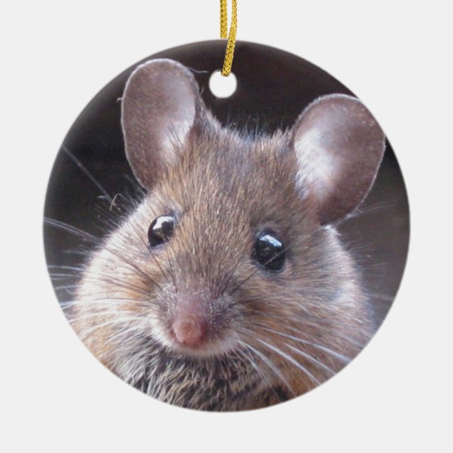 Kleine Maus-Ornament Keramik Ornament (Vorne)