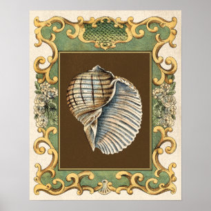 Kleine Meerjungfrau-Muscheln Poster