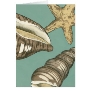 Kleine Muschel Trio auf Aquamarin