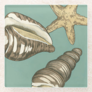 Kleine Muschel Trio auf Aquamarin Glasuntersetzer