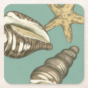 Kleine Muschel Trio auf Aquamarin Rechteckiger Pappuntersetzer