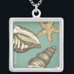 Kleine Muschel Trio auf Aquamarin Versilberte Kette<br><div class="desc">Megan Meagher ist bekannt für ihre einfachen Kunstwerke. Dieses Bild zeigt die Einfachheit der Schätze des Meeres,  der Muscheln eines Conchs und eines Seesterns. Meagher hat einen aquamarinen Hintergrund in ihrem Bild,  um diese Schätze zu kontrastieren. Holen Sie sich heute dieses Kunstdrucke auf Ihrem Zazzle-Produkt.</div>