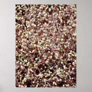 Kleine, niedliche Kugel Poster