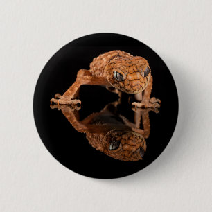 Kleine Niedliche Lizard Reptilien mit Reflektion Button