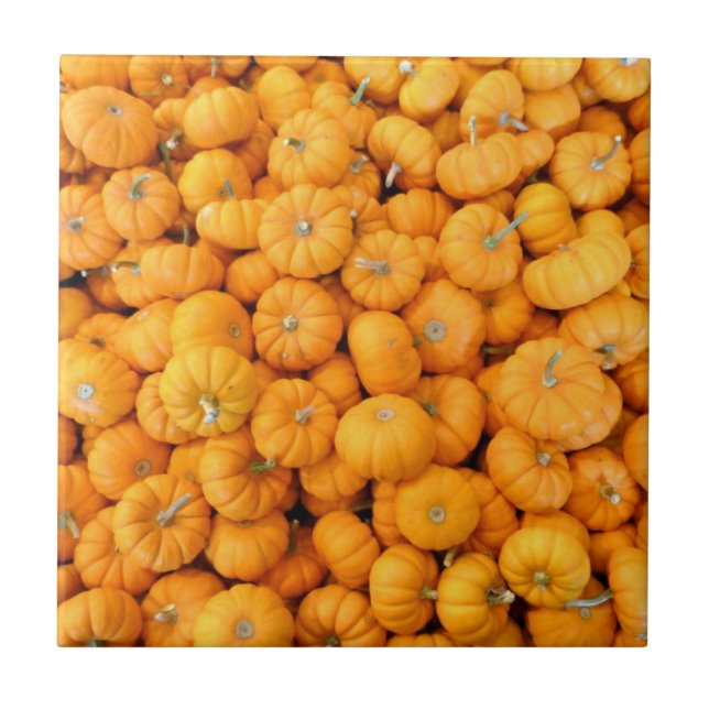 Kleine Orange Fall Harvest Pumpkins Fliese (Vorderseite)