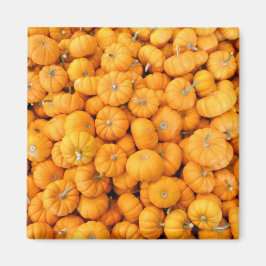 Kleine Orange Fall Harvest Pumpkins Magnet