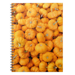 Kleine Orange Fall Harvest Pumpkins Notizblock