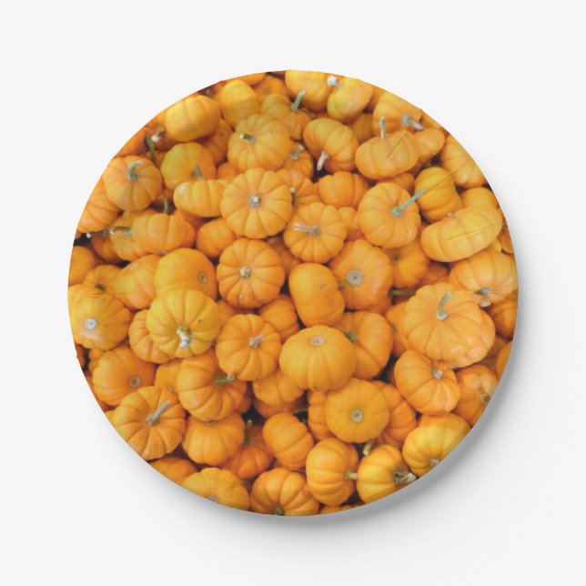 Kleine Orange Harvest Pumpkins Papier Teller (Vorderseite)