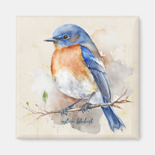 Kleine Ost-Bluebird-Farbe Magnet