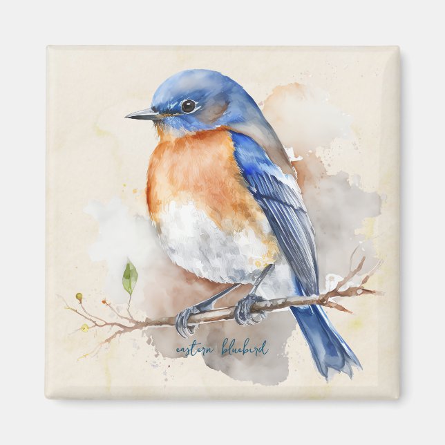Kleine Ost-Bluebird-Farbe Magnet (Vorne)