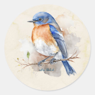 Kleine Ost-Bluebird-Farbe Runder Aufkleber