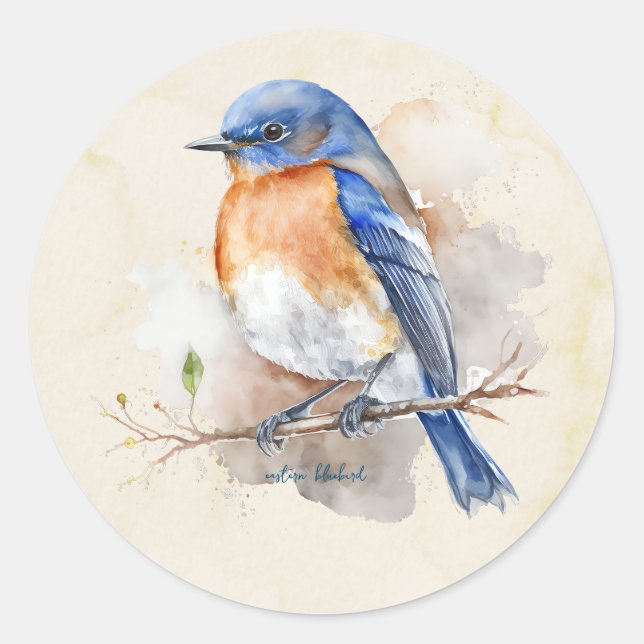 Kleine Ost-Bluebird-Farbe Runder Aufkleber (Vorderseite)