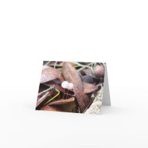 Kleine Pilze auf geklappter Grußkarte