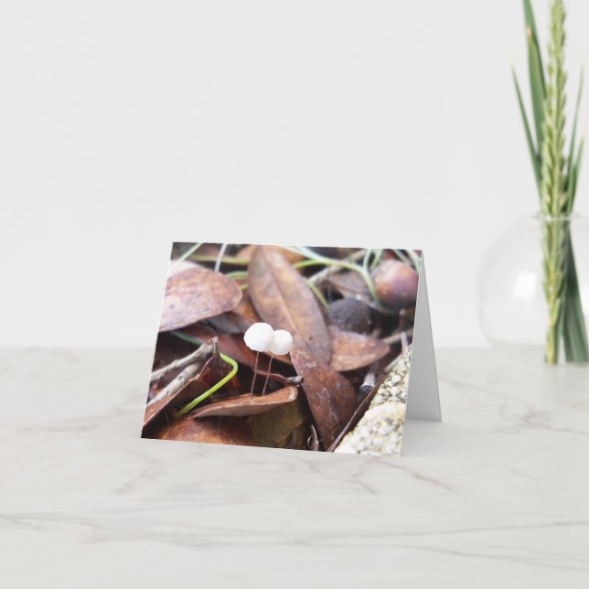 Kleine Pilze auf geklappter Grußkarte Karte (Vorderseite)