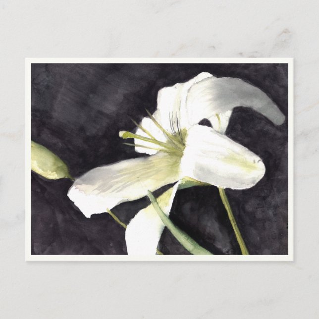 Kleine Postkarte 4,25 Zoll x 5,6 Zoll (Vorderseite)