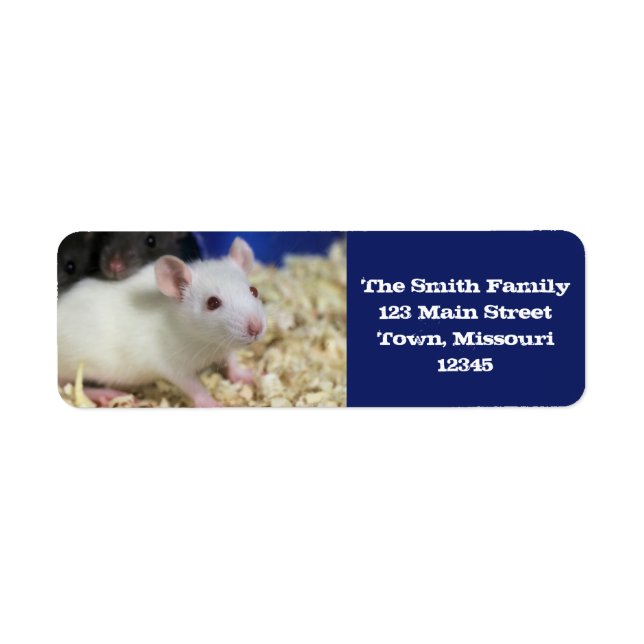 Kleine Ratte (Vorne)