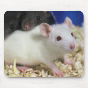 Kleine Ratte Mousepad