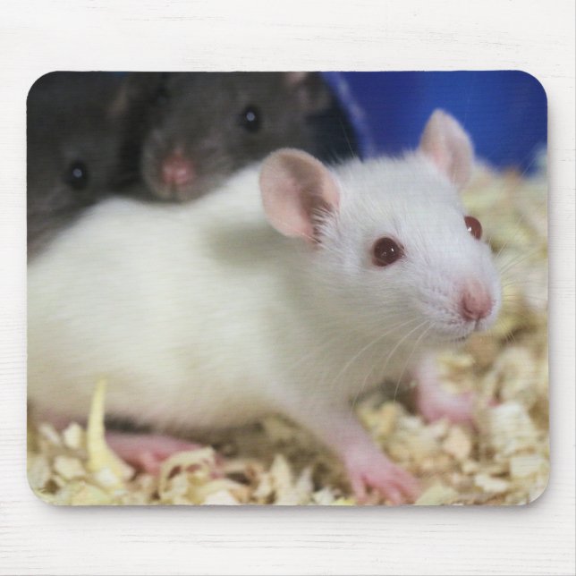 Kleine Ratte Mousepad (Vorne)