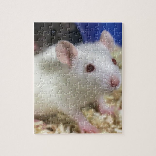 Kleine Ratte Puzzle (Vertikal)