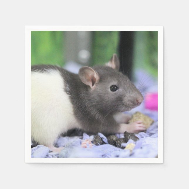 Kleine Ratte Serviette (Vorderseite)