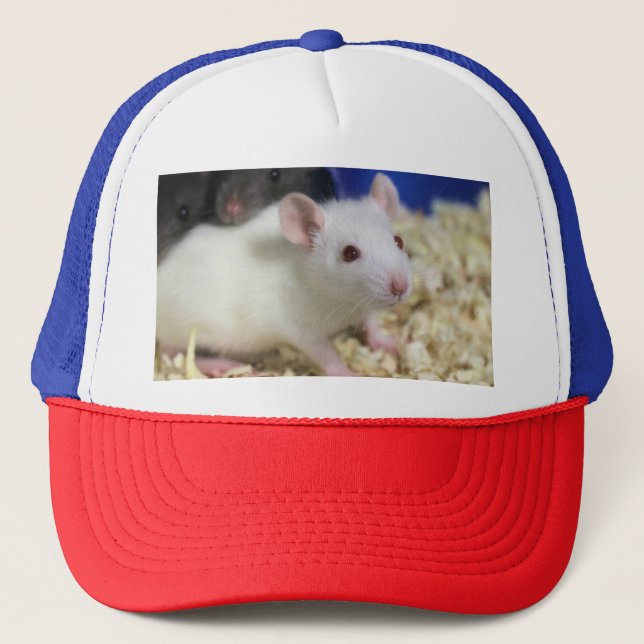 Kleine Ratte Truckerkappe (Vorderseite)