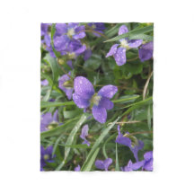 Kleine regnerische Veilchen-Decke