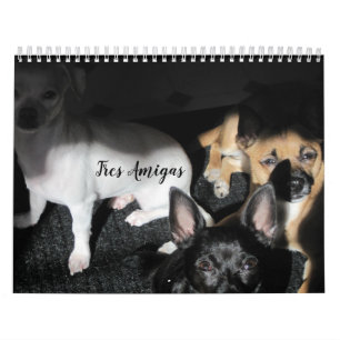 Kleine Rettung Hunde 12-monatiger Kalender
