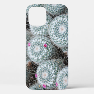 Kleine rosa Blüten Kaktuspflanzen Case-Mate iPhone Hülle
