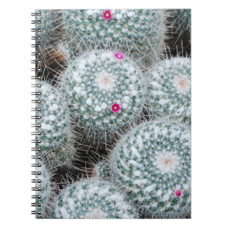 Kleine rosa Blüten Kaktuspflanzen Notizblock